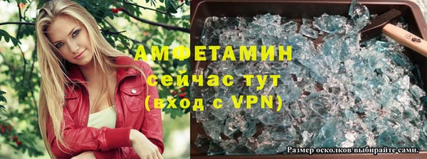 стафф Алзамай