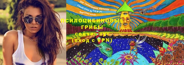 стафф Алзамай