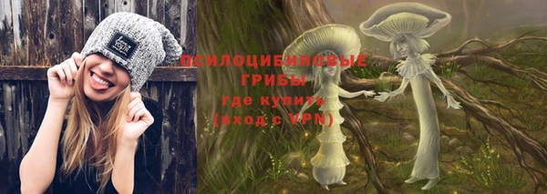 бутират Алексеевка