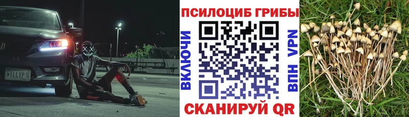 Галлюциногенные грибы прущие грибы omg зеркало даркнет как зайти Кирсанов